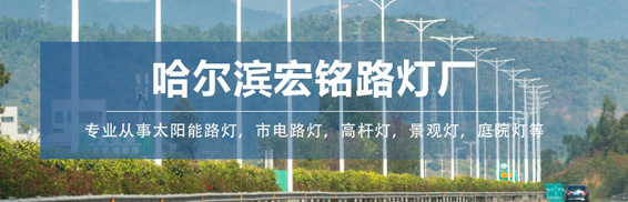哈尔滨路灯厂家